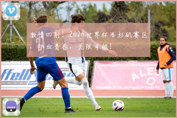 激情四射!2026世界杯洛杉矶赛区,热血青春,无限可能!
