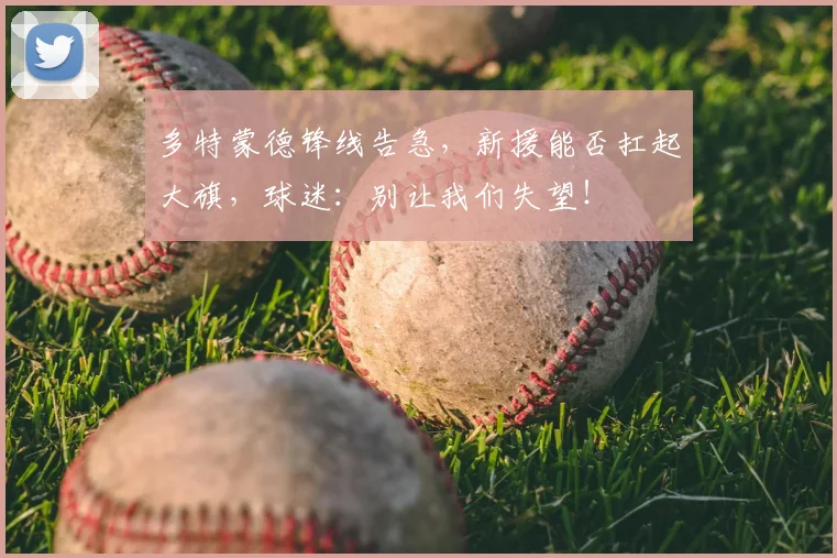 多特蒙德锋线告急,新援能否扛起大旗,球迷:别让我们失望!