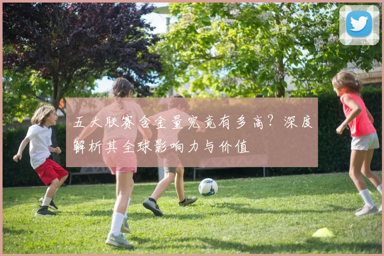 五大联赛含金量究竟有多高?深度解析其全球影响力与价值